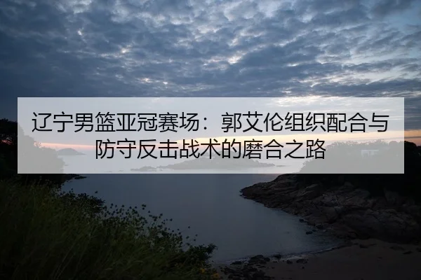 liao-ning-nan-lan-ya-guan-sai-chang-guo-ai-lun-zu-zhi-pei-he-yu-fang-shou-fan-ji-zhan-shu-de-mo-he-zhi-lu-2-542.jpg