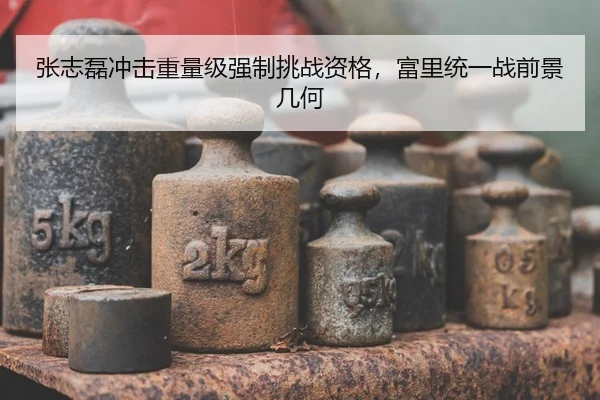 张志磊冲击重量级强制挑战资格，富里统一战前景几何