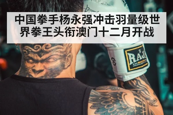 中国拳手杨永强冲击羽量级世界拳王头衔澳门十二月开战